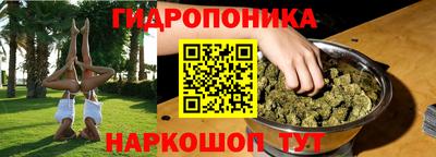 jwh Новозыбков