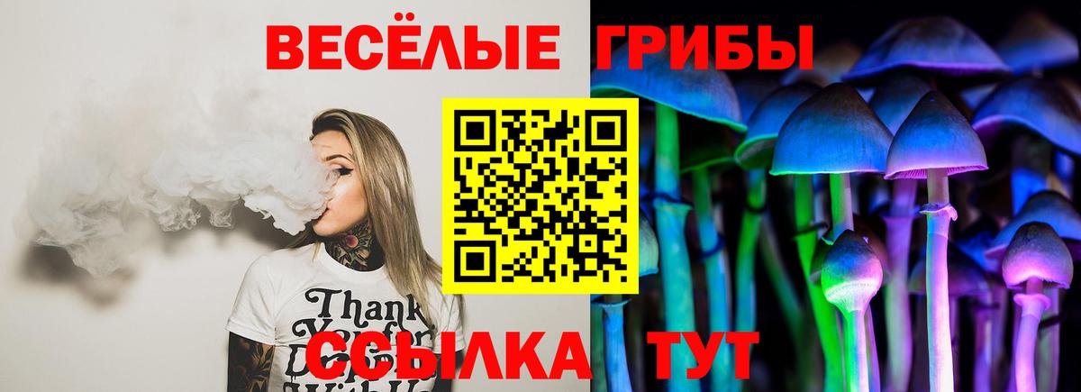 Псилоцибиновые грибы Psilocybine cubensis Сызрань
